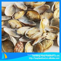 whole round deep clean frozen short necked clam vacuum packed